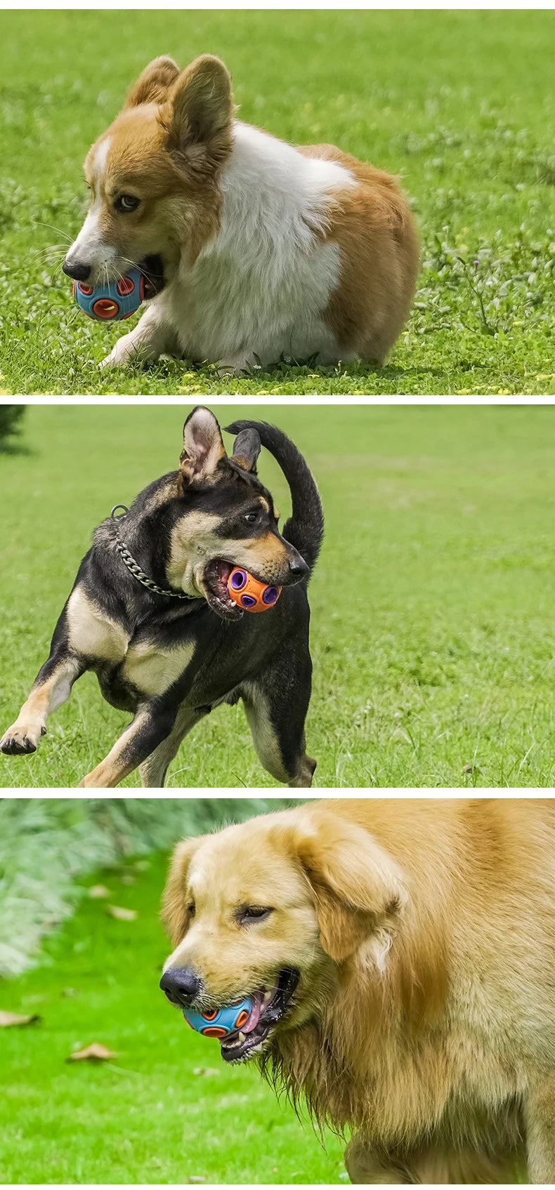 HOOPET Dog Toy Rubber Food Ball 🎾🐕🍖