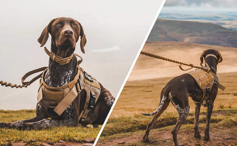 Tactical No-Pull Dog Harness 🐕🎖️