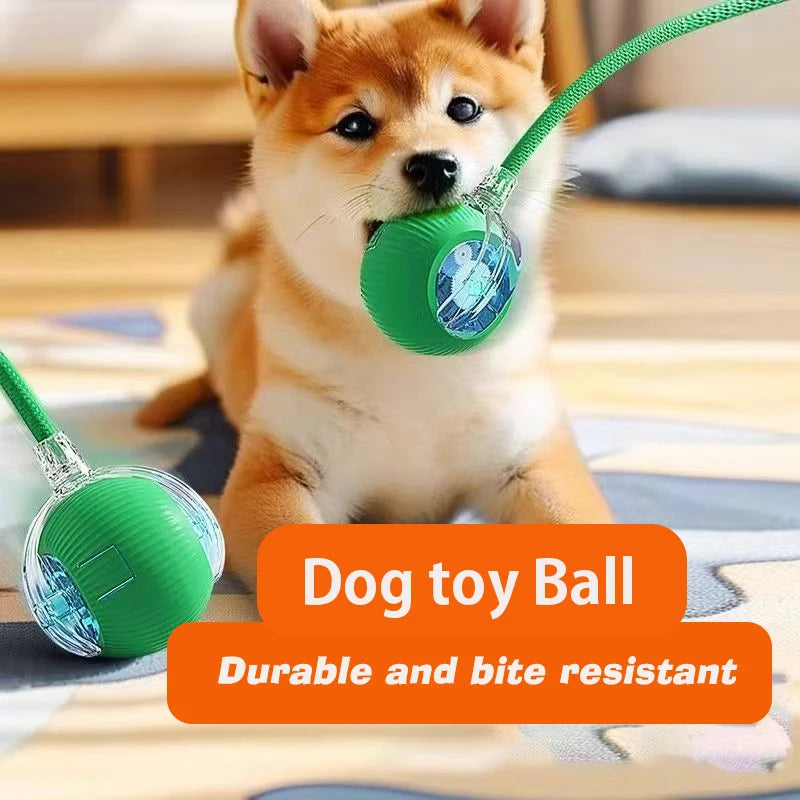 Auto Smart Dog Ball 🐶⚙️