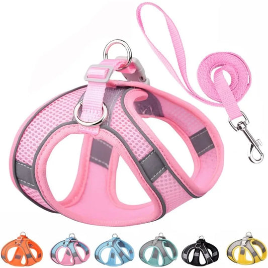Reflective Cat Harness & Leash 🐱🌙