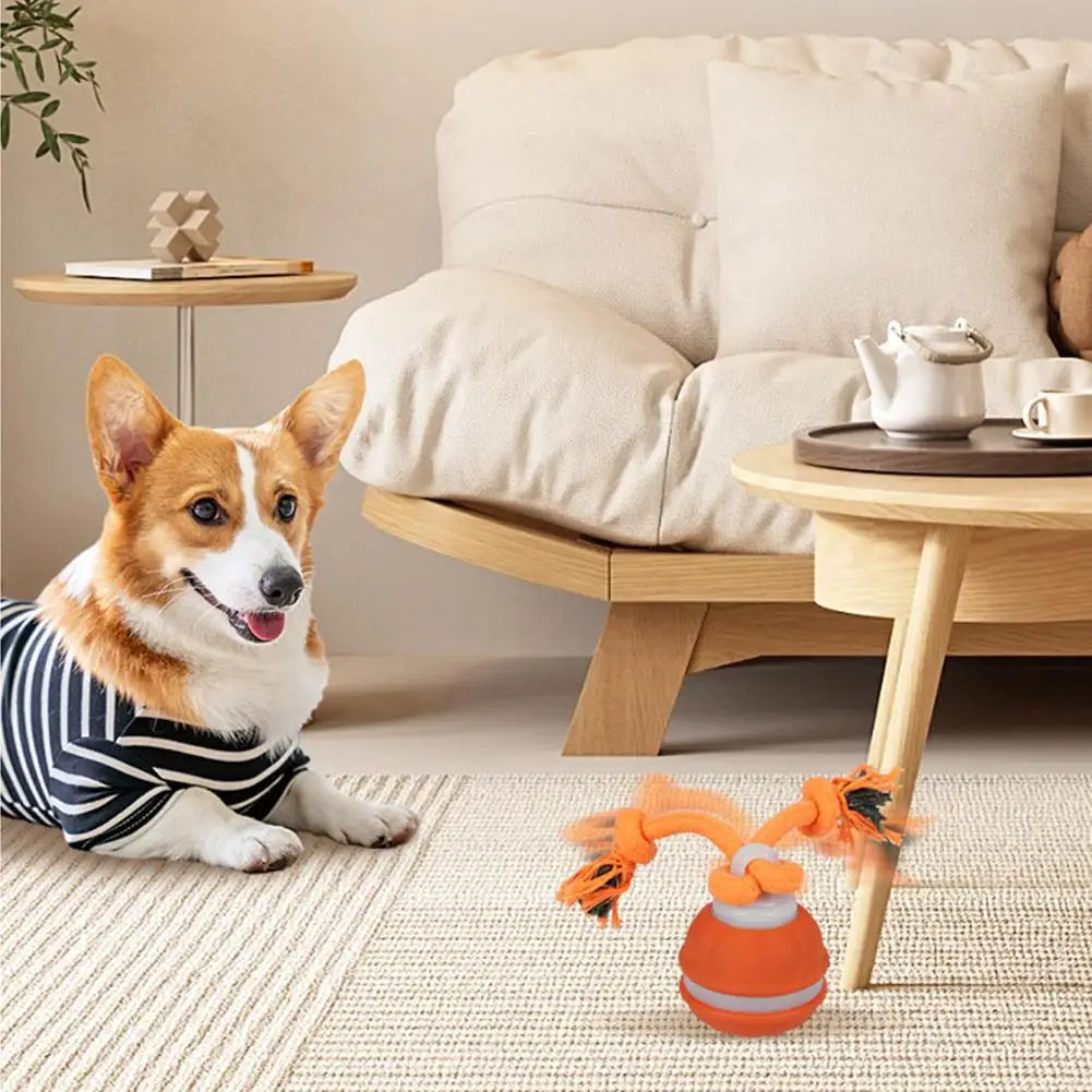 Interactive Dog Toy Ball with Rope Electronic Motion Activated Rolling Ball for Indoor Cat Dog Play Toys for Puppy Training Ball