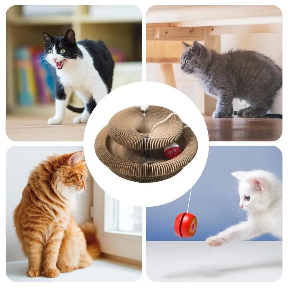 Round Foldable Cat Scratcher Toy 🐱🪵🔔