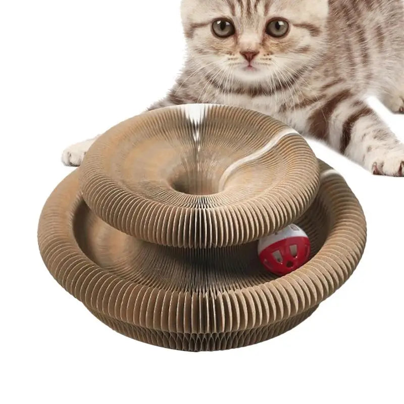 Round Foldable Cat Scratcher Toy 🐱🪵🔔