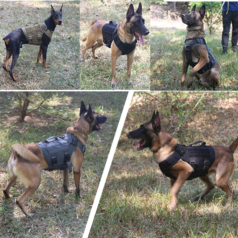 Tactical No-Pull Dog Harness 🐕🎖️