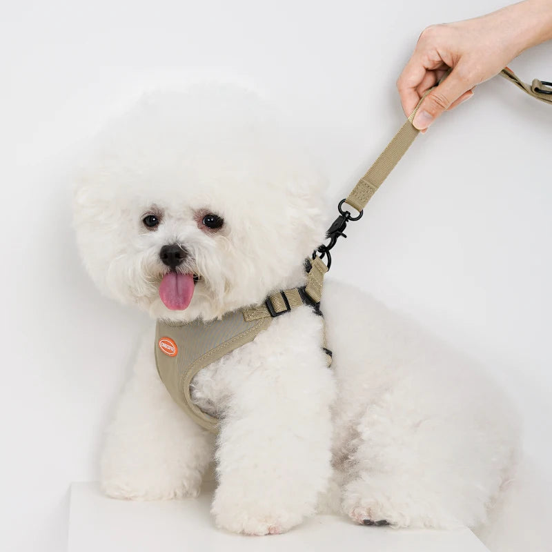 ONECUTE Handsfree Pet Harness 🐕👐