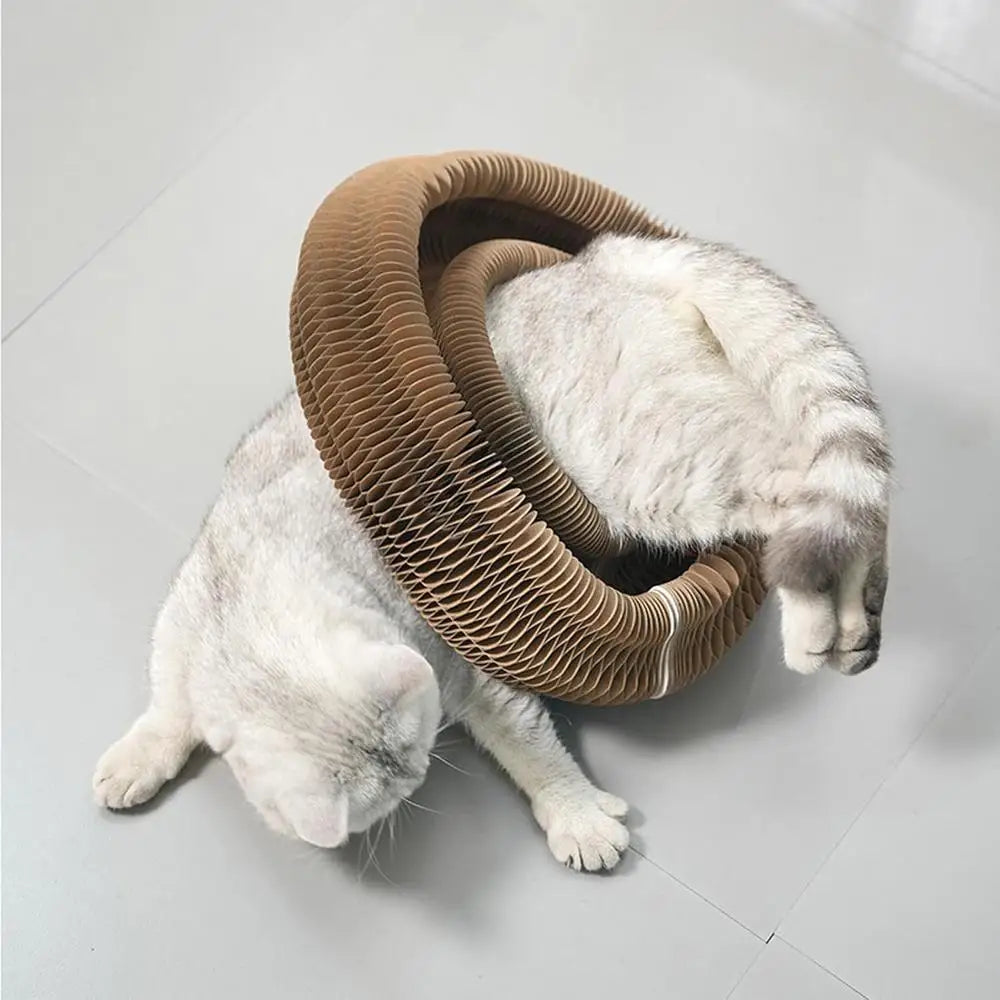 Round Foldable Cat Scratcher Toy 🐱🪵🔔