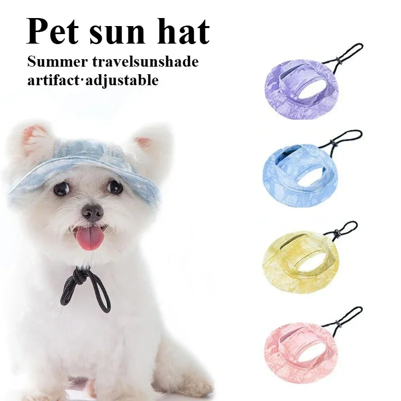 Spill-Proof Auto Pet Feeder & Water Fountain 🐱💧