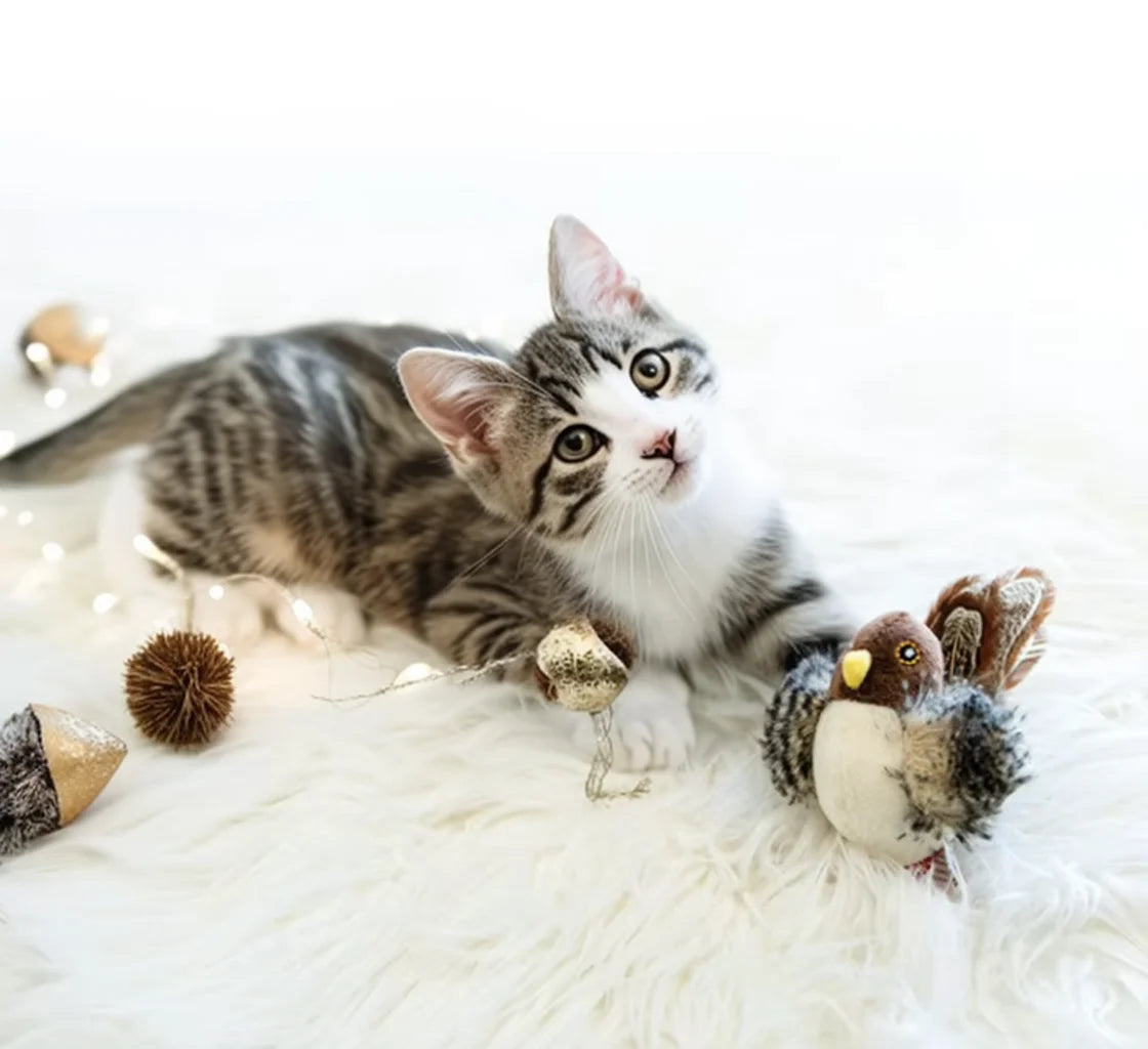 Interactive Chirping Bird Cat Toy 🐱🐦✨