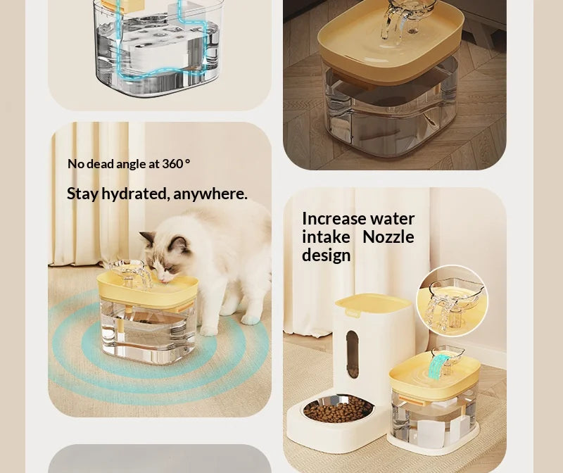 Stainless Steel Auto Pet Feeder & USB Water Bowl 🐶💧