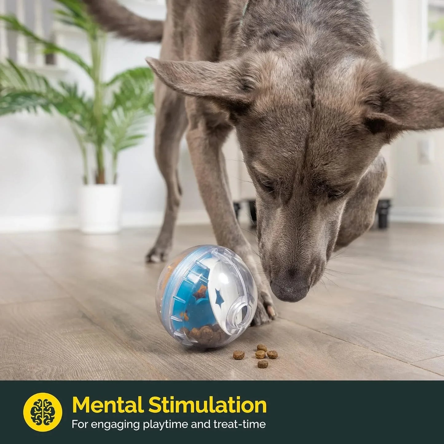 IQ Treat Ball Dog Dispenser Toy (4") 🎾🐕🧠🍖