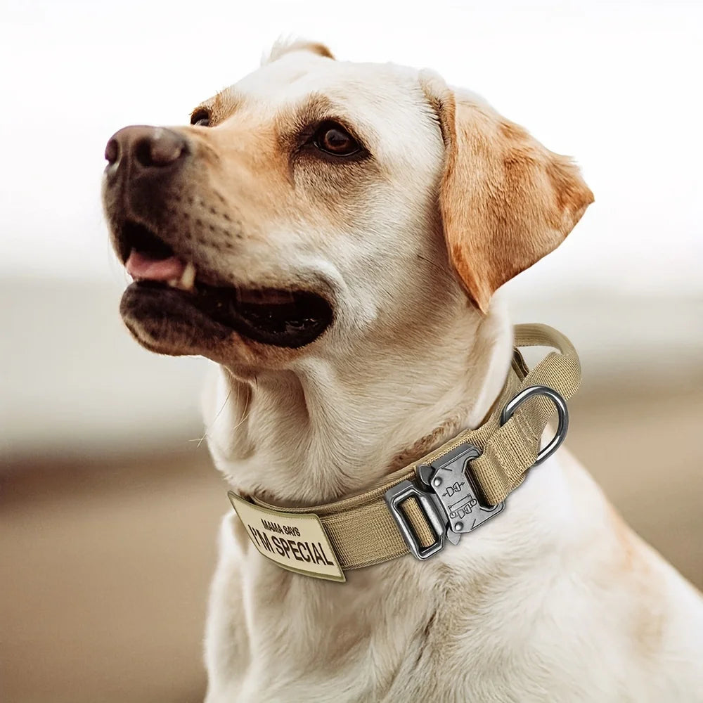 Heavy Duty Tactical Dog Collar 🐕🧭