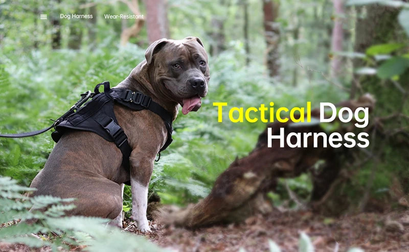 Tactical No-Pull Dog Harness 🐕🎖️
