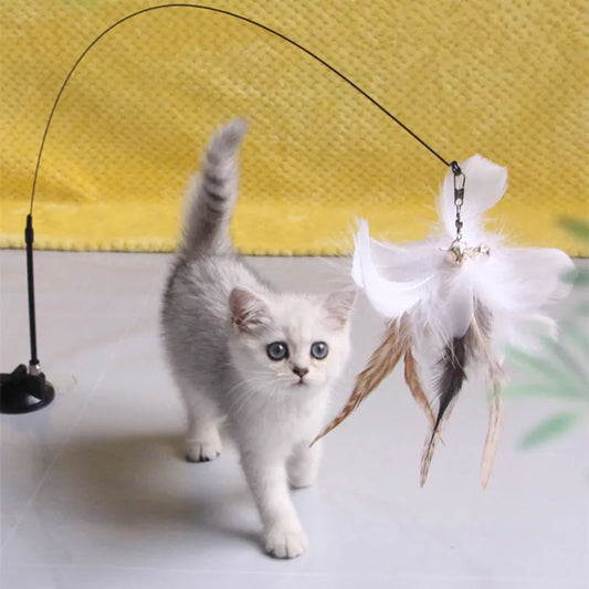 Interactive Feather Cat Teaser Toy 🐱🪶🎉