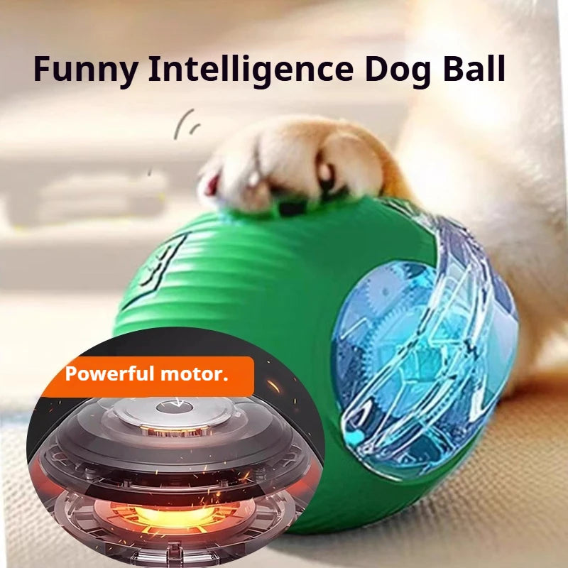 Auto Smart Dog Ball 🐶⚙️