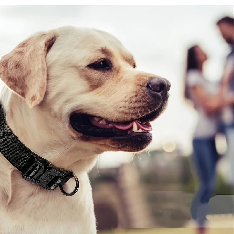 Tactical Dog Collar 🐕🛡️