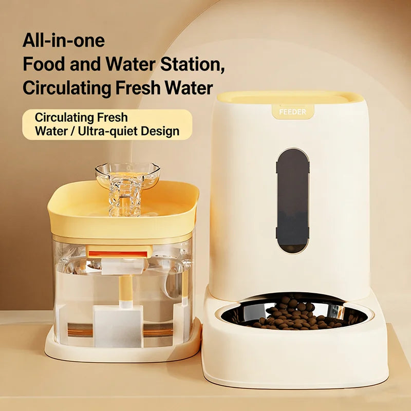 Stainless Steel Auto Pet Feeder & USB Water Bowl 🐶💧