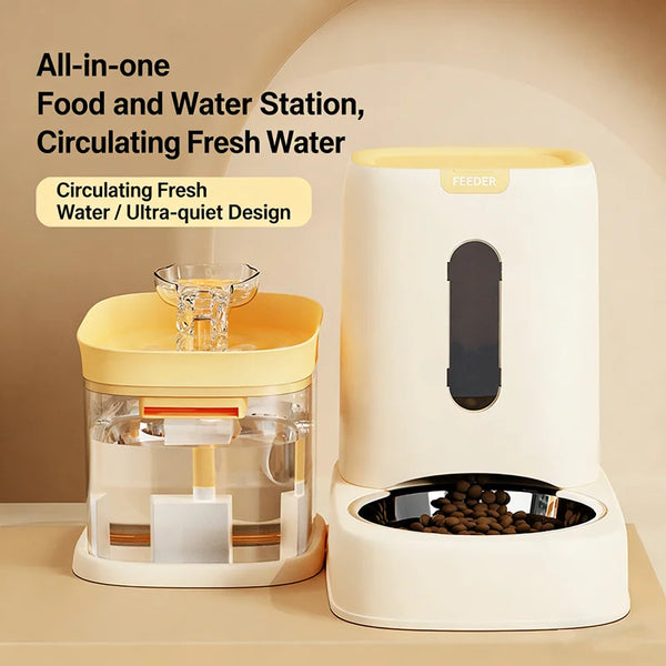 Stainless Steel Auto Pet Feeder & USB Water Bowl 🐶💧