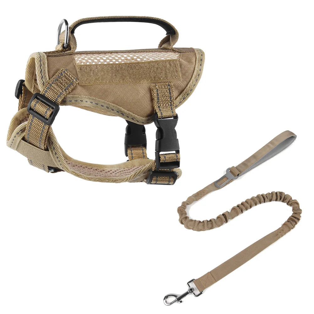 Tactical Cat Harness & Leash 🐱🎽