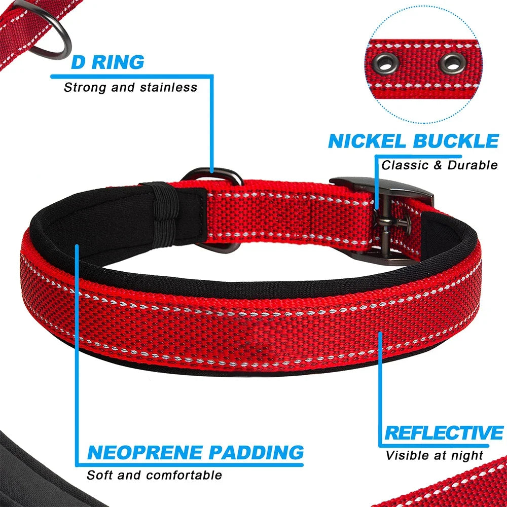 Reflective Dog Collar 🐶✨