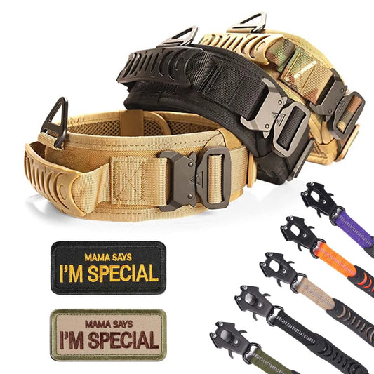 Pro Control Tactical Dog Collar 🐕🛡️