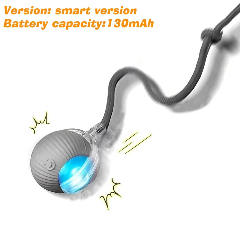 Auto Smart Dog Ball 🐶⚙️