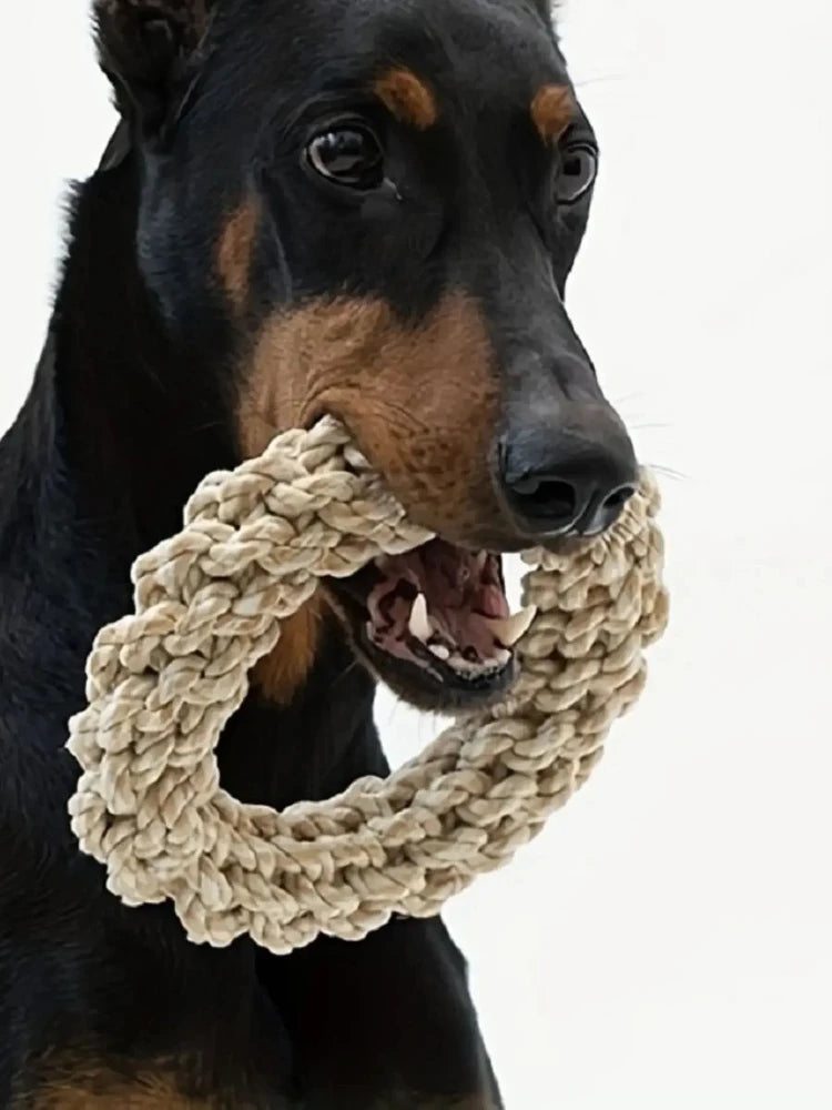 Heavy-Duty Dog Rope Chew Toy 🐕🦴💪