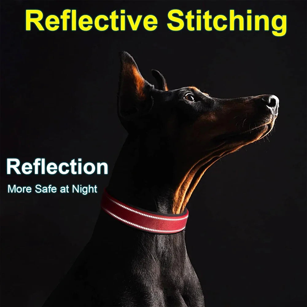 Reflective Dog Collar 🐶✨