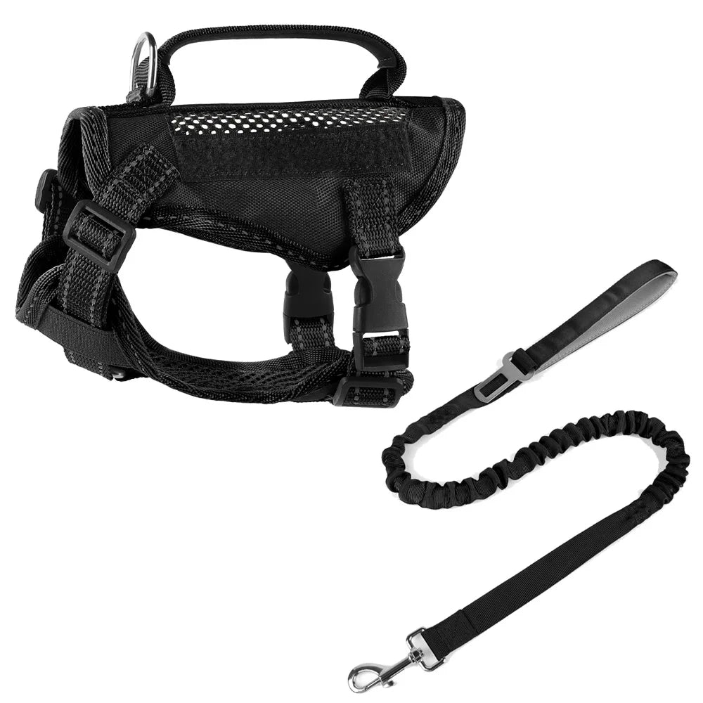 Tactical Cat Harness & Leash 🐱🎽