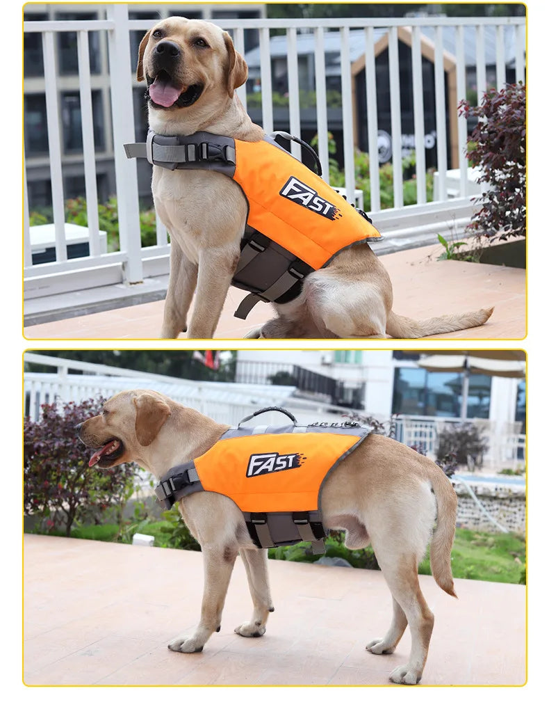 Dog Life Jacket 🐶🛟