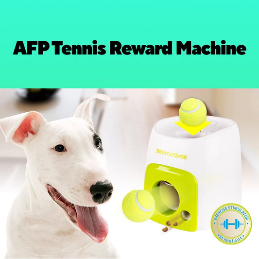 Automatic Dog Ball Launcher 🎾🐕⚡
