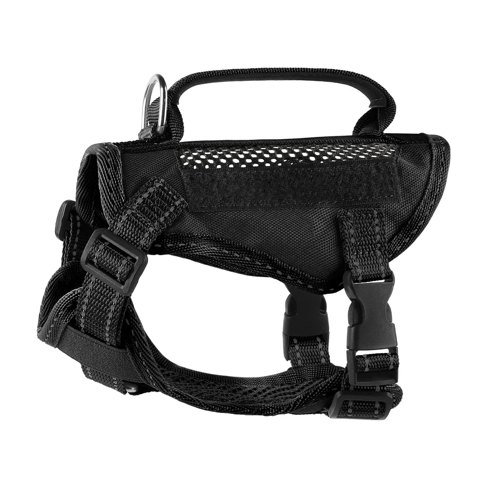 Tactical Cat Harness & Leash 🐱🎽