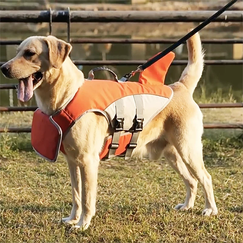 Shark Dog Life Jacket 🦈🐶