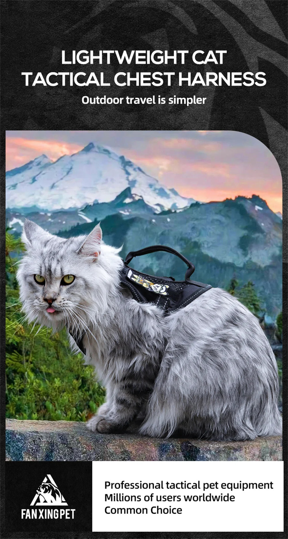 Tactical Cat Harness & Leash 🐱🎽