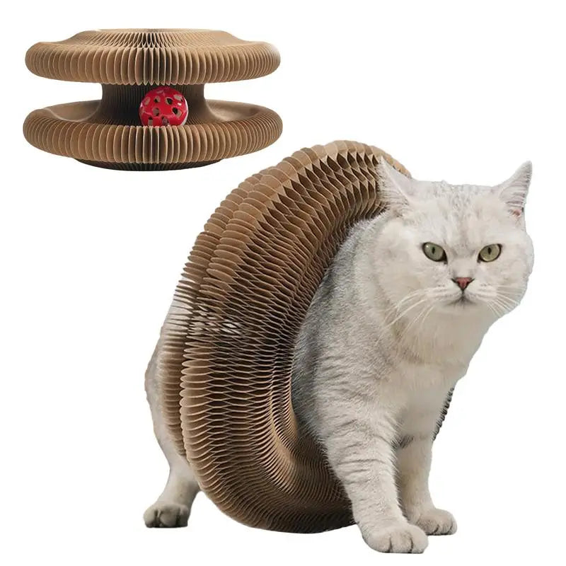 Round Foldable Cat Scratcher Toy 🐱🪵🔔