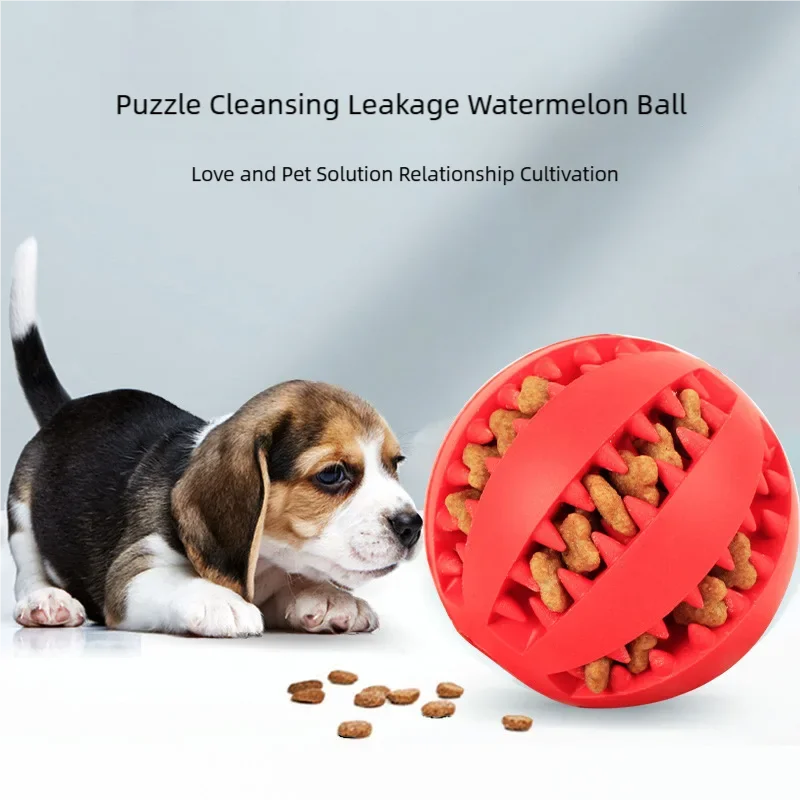 Dog Treat Chew Ball Toy 🎾🐕🦷