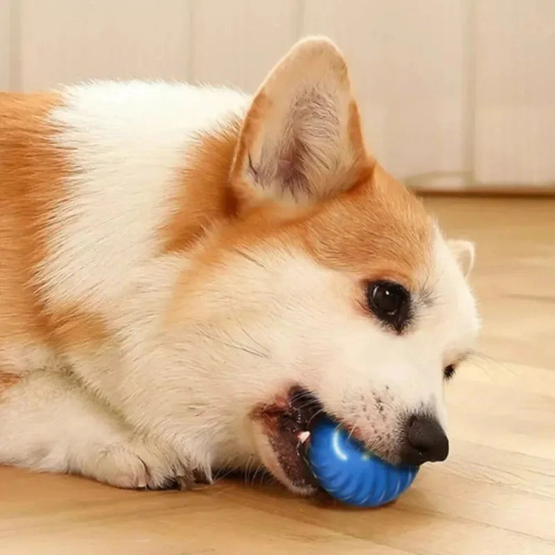 Smart Rolling Dog Ball 🎾⚡