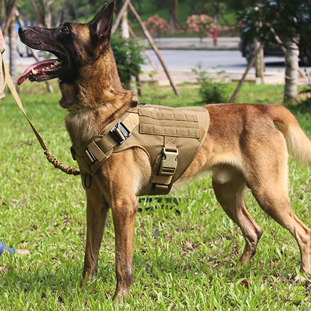 Military Tactical Dog Harness 🐕🎯