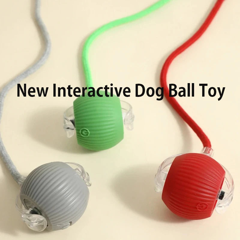 Auto Smart Dog Ball 🐶⚙️