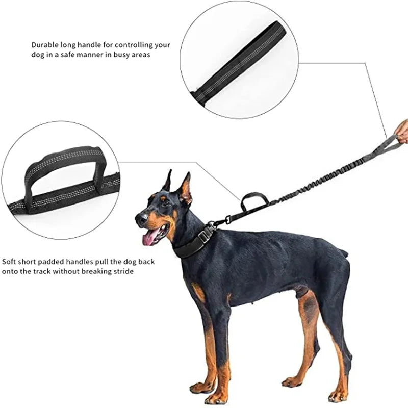 Tactical AirTag Dog Collar 🐕📍