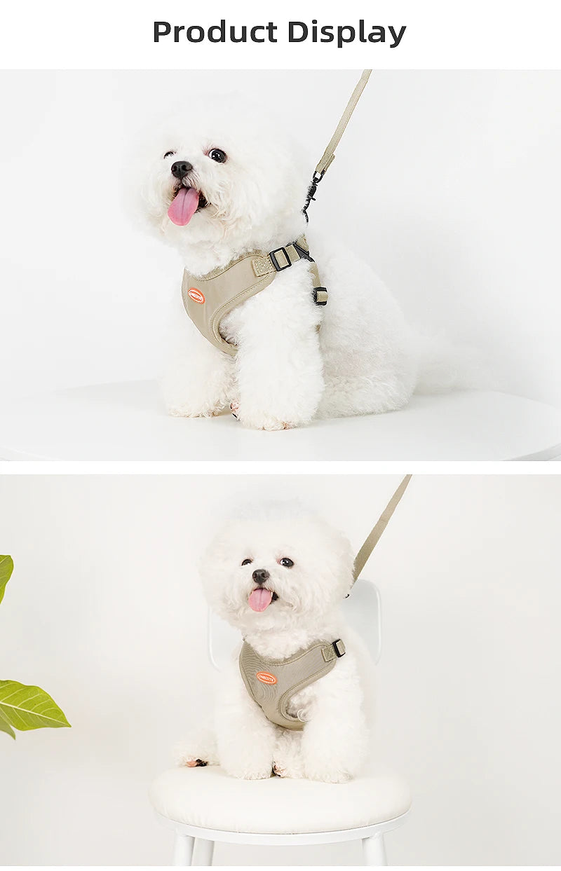 ONECUTE Handsfree Pet Harness 🐕👐