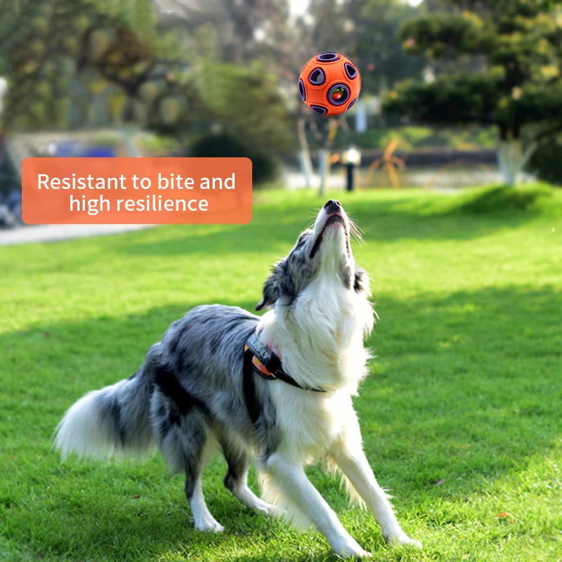 HOOPET Dog Toy Rubber Food Ball 🎾🐕🍖