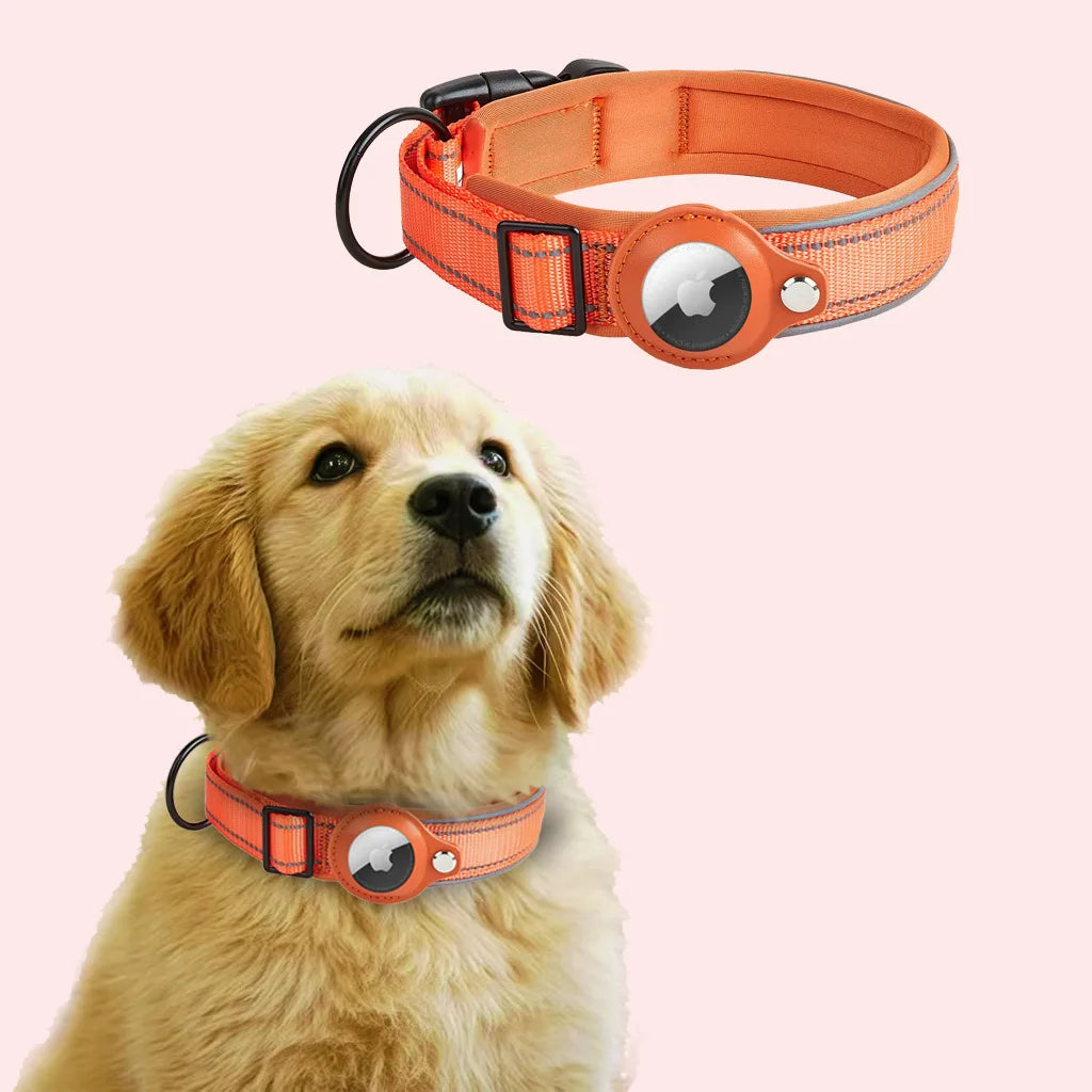 Reflective AirTag Dog Collar 🐶📍