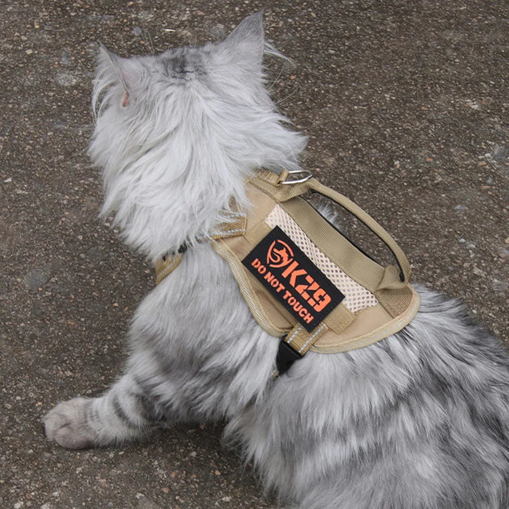 Tactical Cat Harness & Leash 🐱🎽