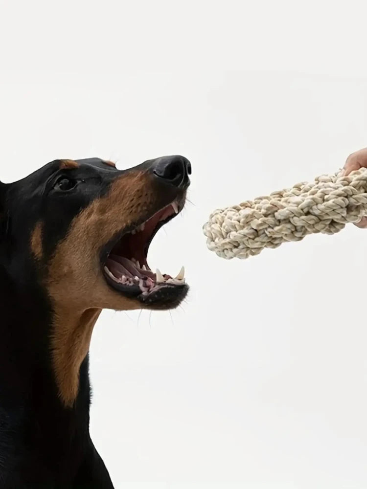Heavy-Duty Dog Rope Chew Toy 🐕🦴💪