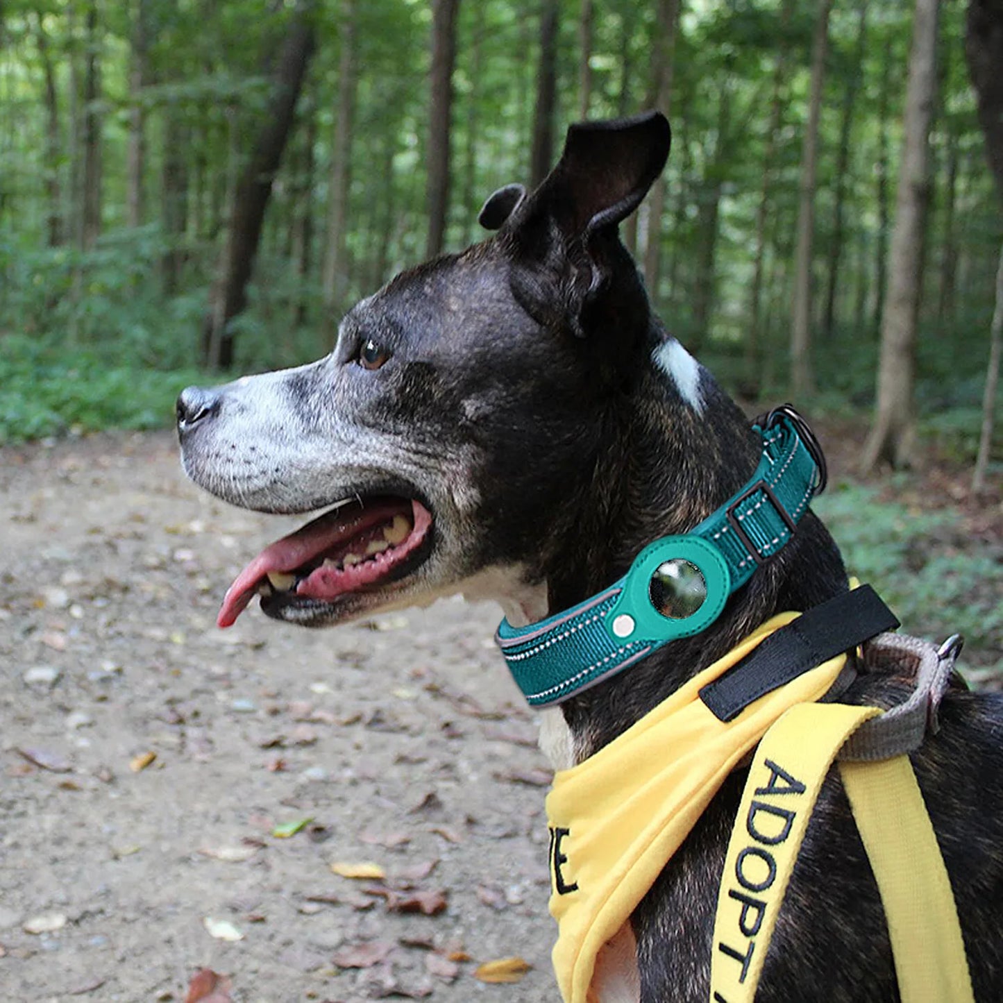 Reflective AirTag Dog Collar 🐶📍