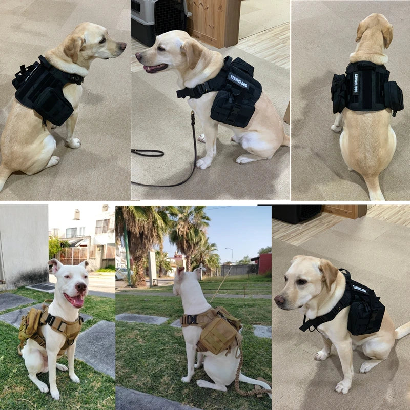 Tactical No-Pull Dog Harness 🐕🎖️