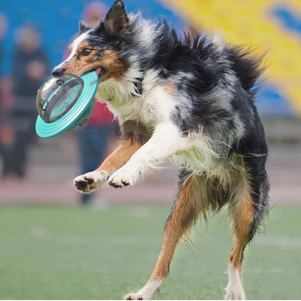 Treat Dispensing Dog Toy 🐶🍖