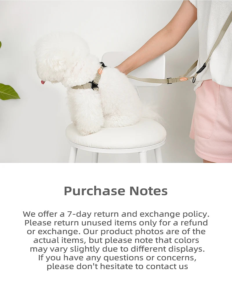 ONECUTE Handsfree Pet Harness 🐕👐