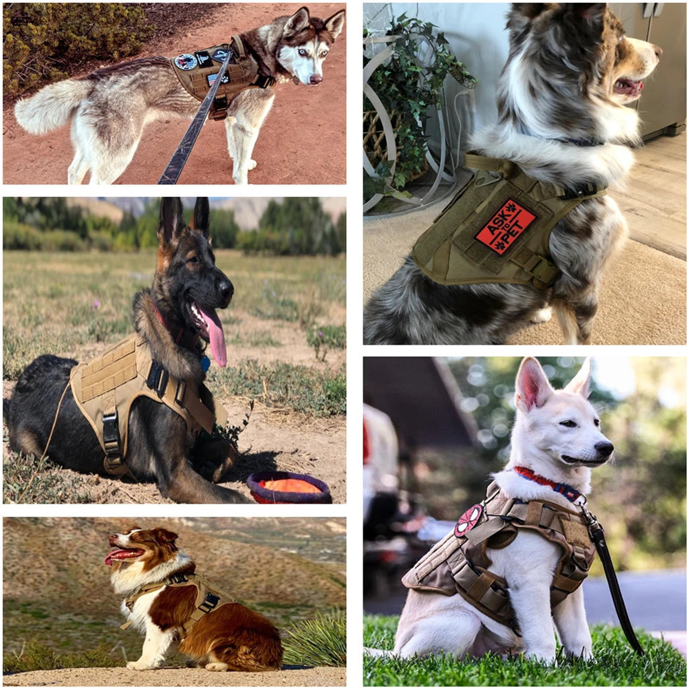Military Tactical Dog Harness 🐕🎯