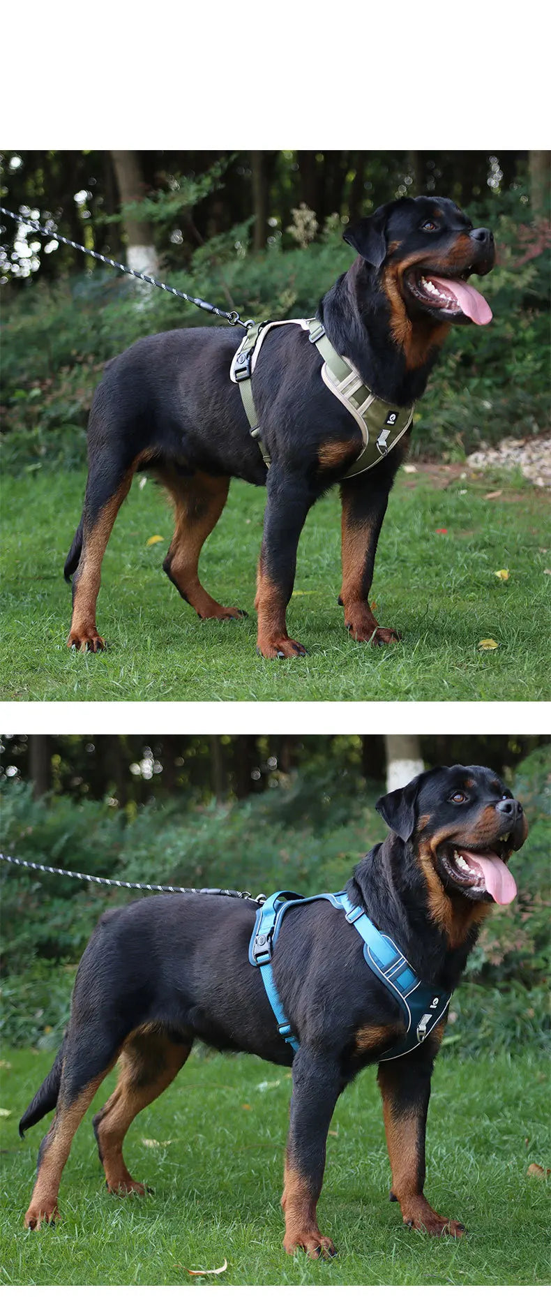 Reflective No-Pull Dog Harness 🐕✨
